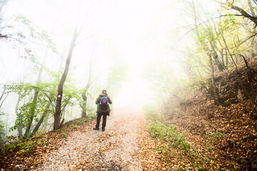 Obraz premium Woman with backpack hike on foggy autumn day through forest. Healthy lifestyle. Nature landscape.