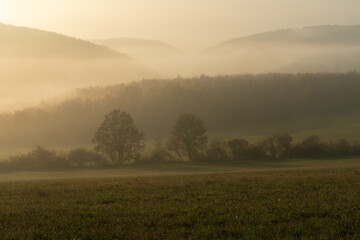 Scenic view of thick fog rolling over valley at sunrise. Beautiful autumnal landscape background