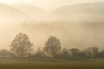 Scenic view of thick fog rolling over valley at sunrise. Beautiful autumnal landscape background