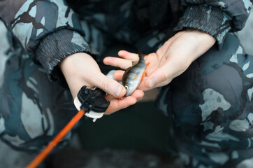 Fisherman holds the caught fish close-up. Winter fishing on the lake.