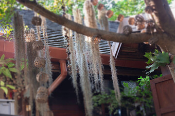 Asian outdoor street market decoration