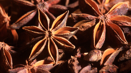 Christmas Bakery, Herbs, Star Anise