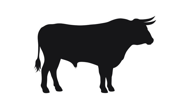 Bull graphic icon. Bullock black sign isolated on white background. Ox symbol. Vector illustration