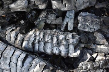 Charred Wood/Burned Wood/Charcoal  