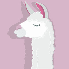 Vector image of a funny llama on a pink background. Flat illustration with alpaca image for postcards, posters, websites.
