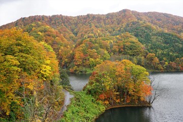 Autumn Colorful Foliage and Shirakami Mountains or Sanchi in Aomori, Japan - 日本 青森県...