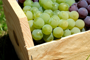 The taste of life ...