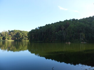 Fototapeta na wymiar reflection of trees in water. Lake in the park.