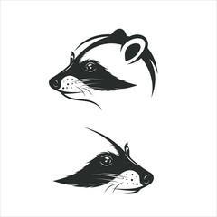 Racoon head illustrations