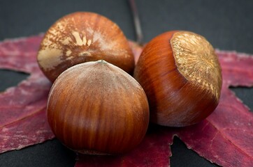 Fresh hazelnuts on a dry leaf over black background with soft defocus