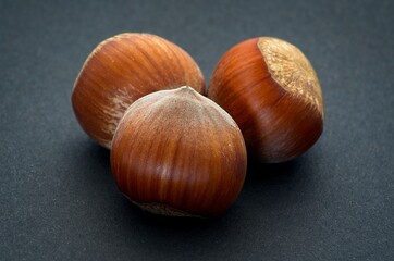 Fresh hazelnuts over black background with soft defocus