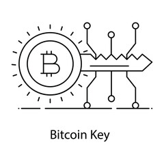 
Bitcoin key flat concept outline icon, digital key
