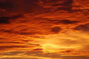 Fototapeta premium sunset on the beach