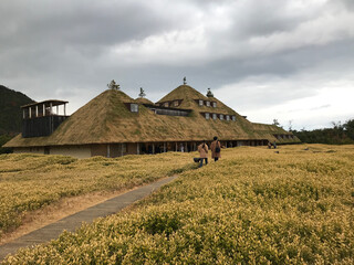 Unique Farm Style Shop