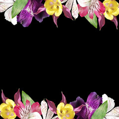 Beautiful floral frame of aquilegia and alstroemeria. Isolated