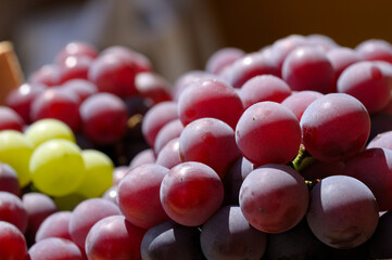 The taste of life ...