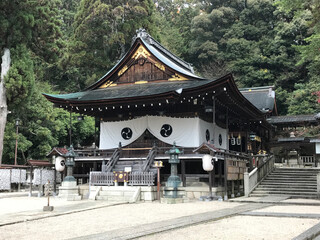 Obraz premium Japanese Temple