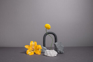 Creative and minimalistic staging of black and white stones, varied shapes and vibrant plants. Modern geometric and natural background with flowers. 2021 year trend colors - gray and yellow
