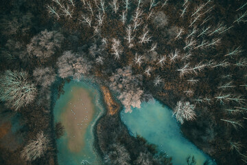 Aerial view of drying pond lake in secluded wooded area in cold autumn morning, top view