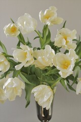 ウィンターパロット