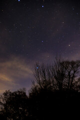 Fototapeta na wymiar 秋の夜空と木の枝のシルエット
