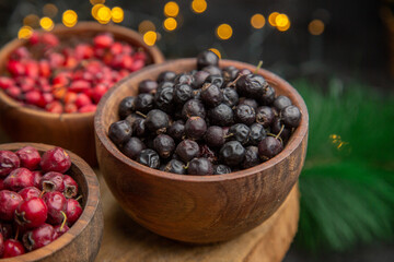 front view fresh berries on the dark background fruit color photo fresh taste wild mellow many xmas