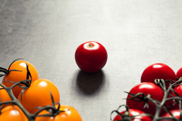 Clusters of red and yellow tomato cherry, close up shot, deep shadows