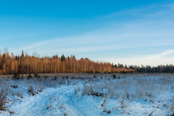 Snow-covered dirt road against the background of a forest winter landscape.	