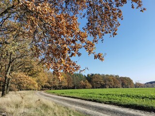 Landschaft an einem klaren, sonnigen Herbsttag