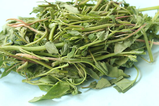 Fresh green bathua leaves