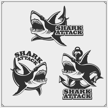 The emblem with shark for a sport team. Print design for t-shirt.