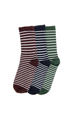 Striped multicolored socks, dark green, burgundy, blue, isolated on white background, flatly, minimal style. Concept male clothing, housekeeping, sorting, decluttering, organizing