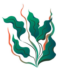 Seaweed for aquarium, underwater marine botany