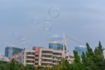 A lot of soap bubbles flying in the park with background of blue sky and sunset on the buildings