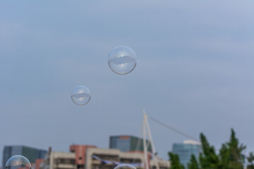A lot of soap bubbles flying in the park with background of blue sky and sunset on the buildings