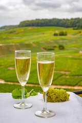 Tasting of french sparkling white wine with bubbles champagne on outdoor terrace with view on grand cru Champagne vineyards in Cramant, near Epernay, France