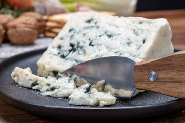 Cheese collection, French blue cheese roquefort from grotten of Roquefort-sur-Soulzon, France