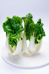 Young white bok choy or bak choi Chinese cabbage