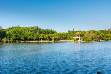 Obraz premium Lake, island, green forest and Chinese traditional pavilion against blue sky in longtan Park, Longgang, Shenzhen, China