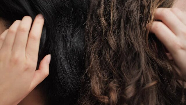 Close up comparison of silky black and curly brown hair being tucked behind ear. Two women with beautiful healthy Asian and brunette Caucasian hair. Concept of beauty cosmetics and hair care. 4K.