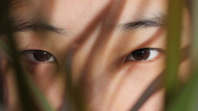 Beautiful and mysterious Asian woman opening her eyes in an exotic setting. Cinematic close up of Chinese girl with soft and youthful skin. Elegant leaves and shadows. Concept of skin care cosmetics.