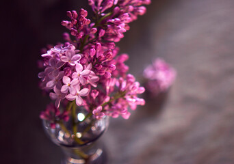 fresh lilac flowers branch in the glass is standing on wooden table - close up, spring flowers and fragrance - still life