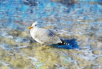 Seagull in waves of baltic sea looking for food.