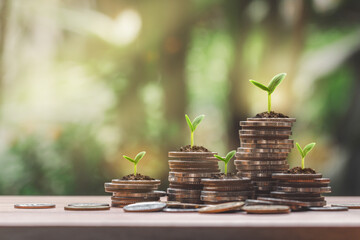 Coin stack growing graph with plant growing on coins and green bokeh background-Business Finance, Investment and Saving money concept.