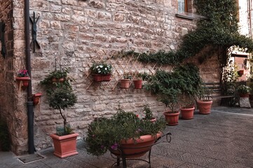 A courtyard with plant and clay pots of a stone house in a medieval italian village (Gubbio, Umbria, Italy)