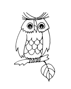 Owl sits on a branch with a leaf, graphic linear black and white drawing.