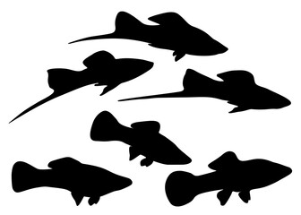 Swordfish aquarium fish in the set.