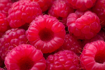 Fresh ripe raspberries background