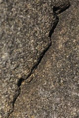 岩石のひび割れ