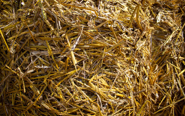 Close up of straw background texture. Concept image. Peaceful nature.
